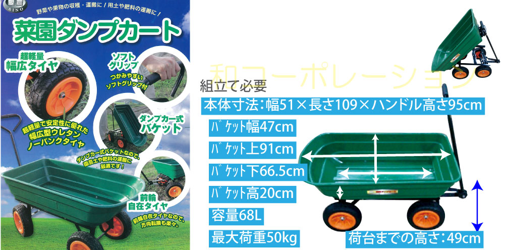オルト