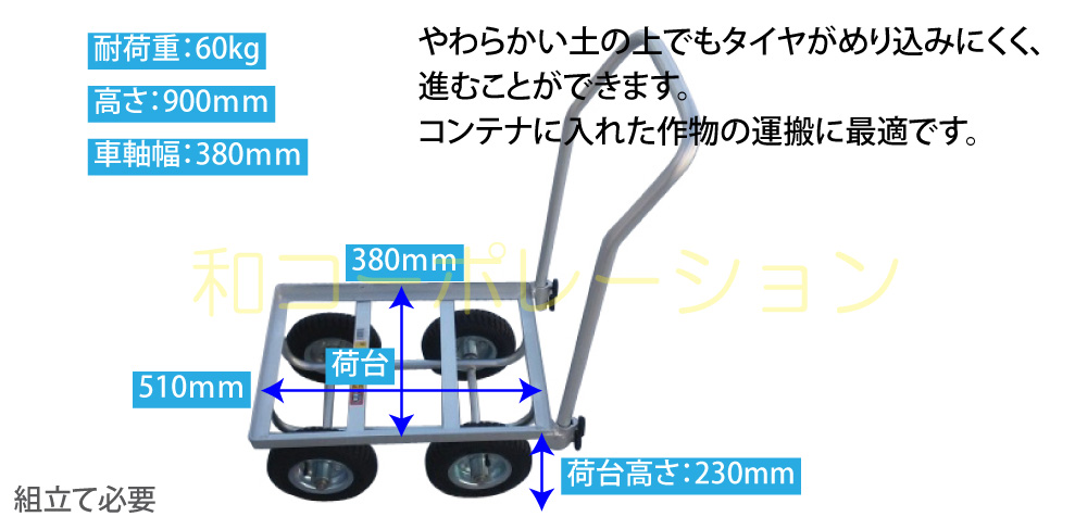 オルト