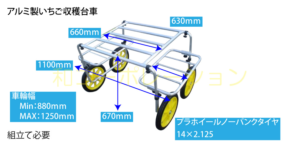 オルト
