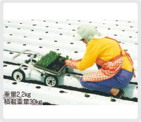 ウエコロ 定植用作業台車