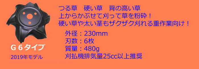 G6タイプ